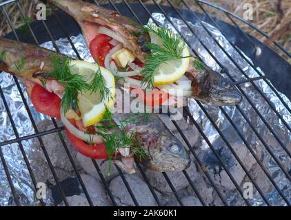 Grilled rainbow trout on the grill Stock Photo