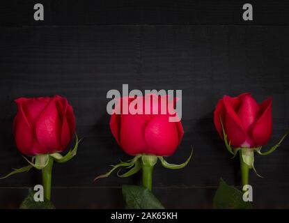 Valentine greeting card. Three roses on black table Stock Photo