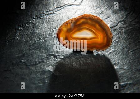 Studio shot of a thin polished slice of an agate with brown banded grain lying on a slate backlit. Stock Photo