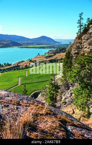 Skaha Bluffs Provincial Park Penticton - British Columbiaokanagan Tal Penticton Ausblick Vom Skaha Bluffs Provincial Park Auf Die Weinberge Der Painted Rock Winery Am Shaha Lake Kanada We 2ak67b9