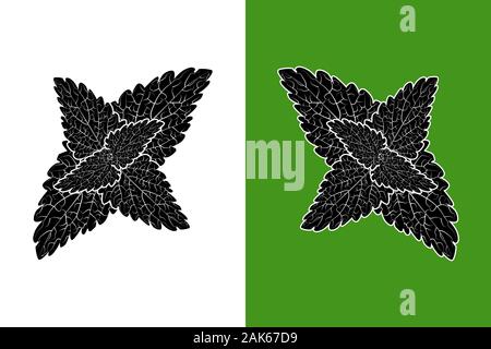Catnip leaves black silhouette isolated on white and green background. Nepeta, catswort, catmint leaves flat icon, sign, symbol. Herb and spice.Vector Stock Vector