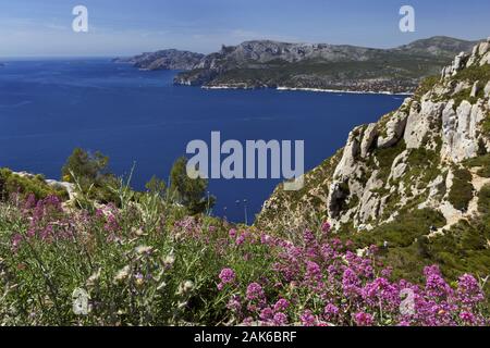 Mittelmeerkueste zwischen Cassis und La Ciotat, Provence | usage worldwide Stock Photo