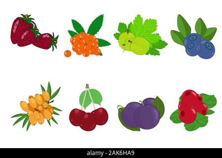 Berry icon set isolated on white background. Strawberries, plum, buckthorn, cherry, gooseberry, rowan, lingonberry, blueberry. Cartoon flat vector Stock Vector