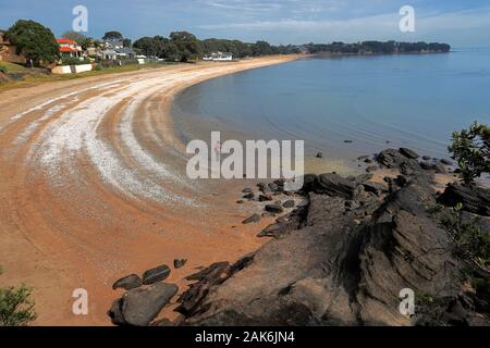 View of Cheltenham Beach from North Head, Devonport, Auckland, New Zealand Stock Photo