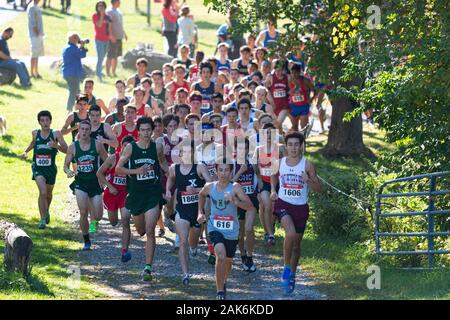 Wappingers Falls, New York, USA - 29 September 2019: The lead pack of boys rounding a corner during a high school cross country race. Stock Photo