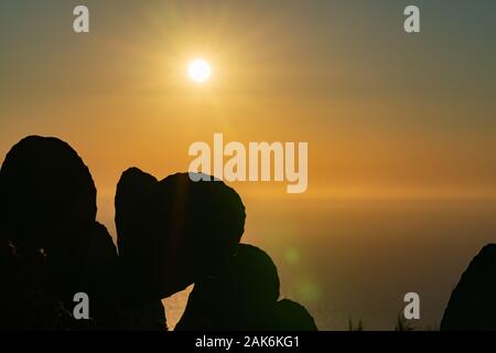 Energy of rising sun backlights and silhouettes wild plants against sky. Stock Photo