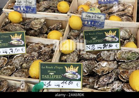 Troville: frische Austern auf dem Fischmarkt, Normandie | usage worldwide Stock Photo