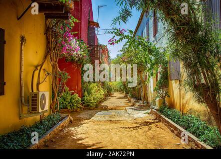 Street on Gorée island, Senegal, Africa. They are colorful stone houses overgrown with many green flowers. It is one of the earliest European Stock Photo