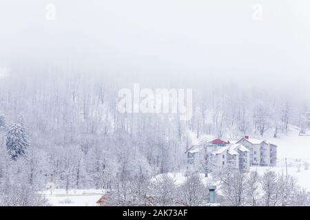 Coniferous forest in the mountains covered with snow and covered with clouds Stock Photo