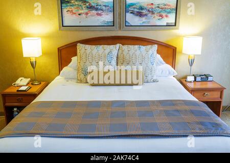 Miami Florida,Hyatt Regency Miami,hotel,guest room,bed,FL100620026 Stock Photo