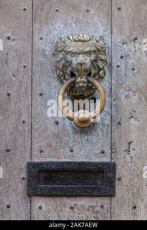 decorative wooden door with a brass lion door knocker Stock Photo