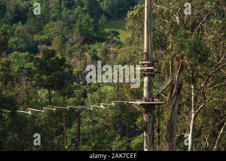 Trunk with tree climbing circuit in a green forest on cloudy day near Canela. A charming small town in southern Brazil. Stock Photo