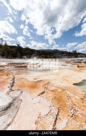 Terraces at Mammoth Hot Springs in Yellowstone National Park, Wyoming, USA Stock Photo