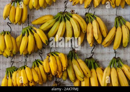 banana fruits hanging on street market for sale Stock Photo