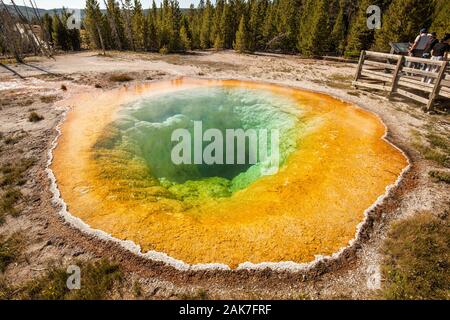 Morning Glory Pool in Yellowstone National Park, Wyoming, USA Stock Photo