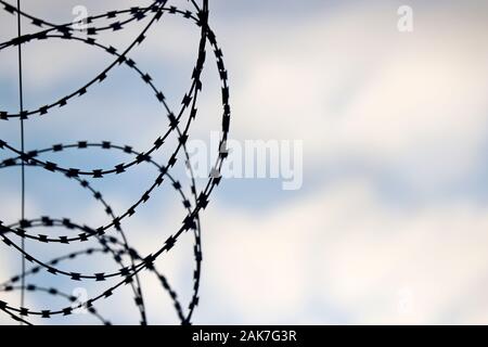 Barbed wire on background of blue sky and white clouds. Concept of boundary, prison, war or immigration Stock Photo