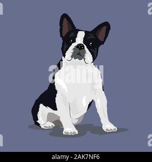 french bulldog sad dog isolated at the one color background Stock Vector