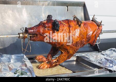 whole pig cooked on spit roast barbecue rotisserie Stock Photo