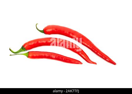 One red chilli peppers isolated on white background Stock Photo - Alamy