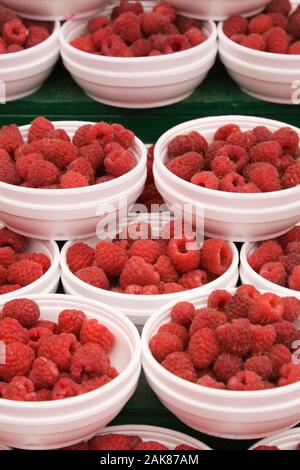 White styrofoam containers with freshly picked raspberries - Rubus idaeus for sale at an outdoor market. Stock Photo