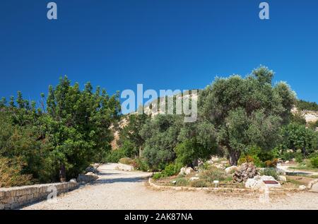 LATCHI, CYPRUS - JUNE 07, 2018: The path with the signpost to Baths of Aphrodite  in the  Botanical garden near village of Latchi on Akamas Peninsula. Stock Photo