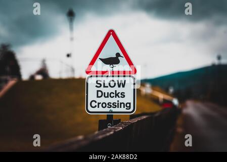 Bokeh of a road sign warning to watch out for ducks and ducklings crossing the road, placed over a fence alongside the road, on a cloudy backgound. Stock Photo