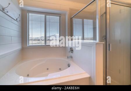 Bathroom interior with spa bath or jacuzzi Stock Photo
