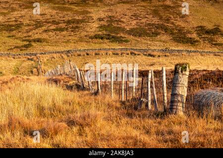 Fence in the Carneddau Mountains, Snowdonia, North Wales Stock Photo
