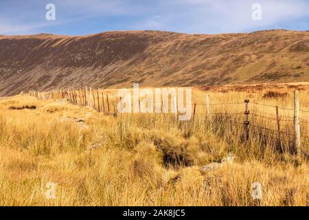 Fence in the Carneddau Mountains, Snowdonia, North Wales Stock Photo
