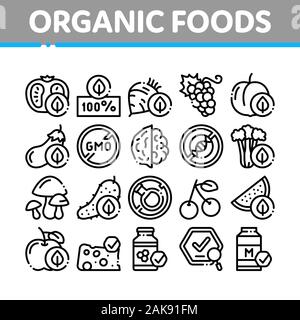 Organic Eco Foods Collection Icons Set Vector Stock Vector Image & Art ...