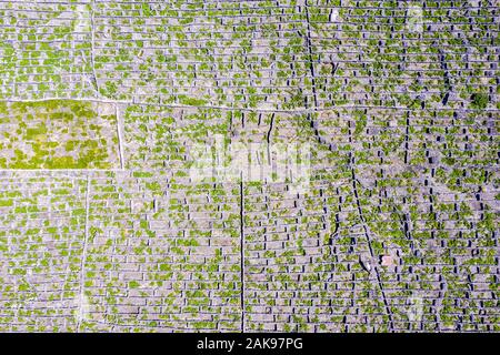 Top aerial view of man-made landscape of the Pico Island Vineyard Culture, Azores, Portugal. Regular pattern of spaced-out, long linear walls running Stock Photo