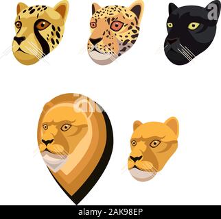 African cat portrait set made in unique simple cartoon style. Heads of cheetah, leopard or jaguar, black panther, lion and lioness. Isolated icon coll Stock Vector