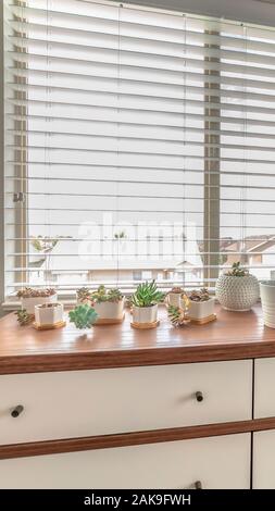 Vertical frame Home interior with potted cacti and electric fan on cabinet against bay window Stock Photo