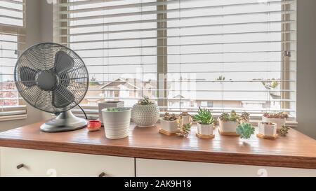 Pano Home interior with potted cacti and electric fan on cabinet against bay window Stock Photo