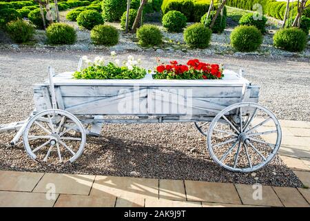 White and red flowers in a decorative vintage wooden cart. Stock Photo