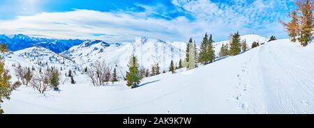 Panorama of Feuerkogel Mountain plateau with gentle snowy slopes, valleys, spruce trees and groomed run with corduroy pattern, Ebensee, Salzkammergut, Stock Photo