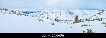 Forest on the northern slopes of Mount Jim in Kinsman Notch of ...