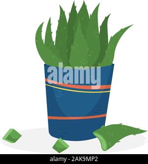 Aloe Vera in a blue pot. Home medicinal plants. Creative vector illustration. Stock Vector