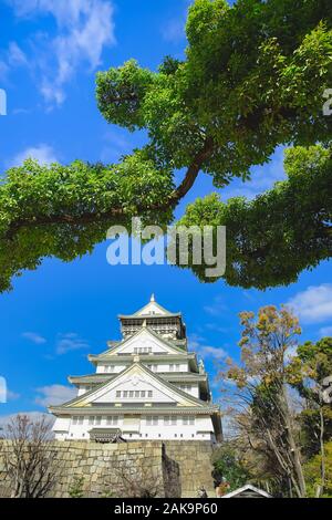 Beautiful scene in the park of Osaka Castle, Osaka City, Japan. Stock Photo