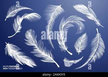 Vector White Feathers Collection Set Of Different Falling Fluffy Twirled  Feathers Isolated On Transparent Background Realistic Style Vector 3d  Illustration Stock Illustration - Download Image Now - iStock
