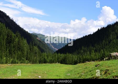 Green valley of Austria on the border with Italy Stock Photo