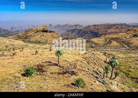 Stony winding road in Semien or Simien Mountains National Park landscape in Northern Ethiopia. Africa wilderness, Sunny morning with blue sky Stock Photo
