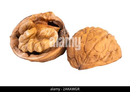 Walnut on the white background. Close up shot of whole walnut isolated on white background. Single walnut whole on a white background. Stock Photo