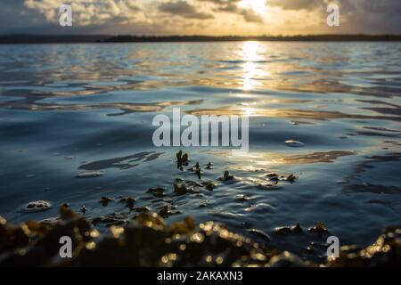 Colour abstract photograph of narrowly focused gently rippling water during sunset, taken on Poole harbour, Dorset, England. Stock Photo