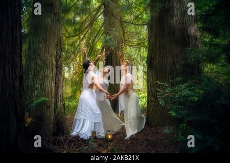 Three woman nymphs in forest,  Bainbridge Island, Washington, USA Stock Photo
