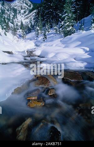 Landscape with frozen stream in Banff National Park in winter, Alberta, Canada Stock Photo