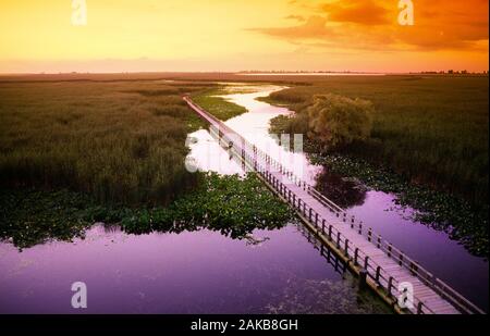 Aerial view of landscape with boardwalk in marsh at sunset, Point Pelee National Park, Ontario, Canada Stock Photo