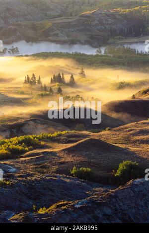 Landscape with hills, fog and river at sunrise, Dry Island Buffalo Jump Provincial Park, Alberta, Canada Stock Photo