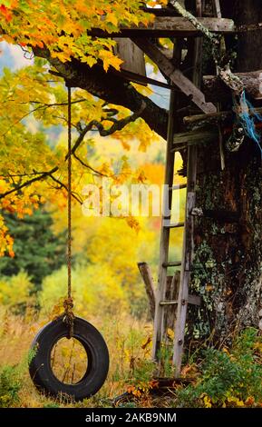 Tree house and tire swing hanging from branch in autumn Stock Photo