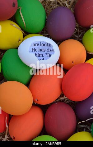 bright white egg with broken shell and the bible passage HE HAS RISEN inside between many multicolored Easter eggs Stock Photo